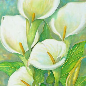 Fünf Kallas in Aquarell gemalt vor einem grünlichem Hintergrund und mit Blättern der Kallas zu sehen.